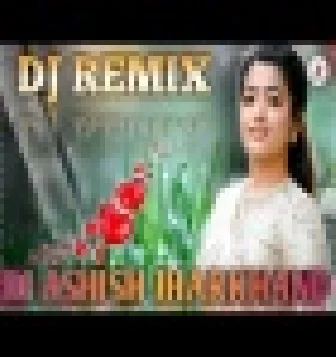 Jane Wale Laut Kar Tu Aaya Kyon Nahi Dj Remix Song 2020