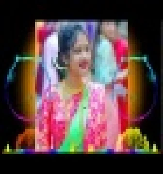 Panchi Sur Mein Gaate Hain Dj Remix Hindi Old Mix Dj Anupam
