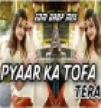Pyar Ka Tohfa Tera Old Is Gold Dj Sameer Remix Song