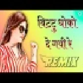 Bittu Dhoko Ker Gi Re 3D Hard Miix Best Rajasthani Dj Remix Songs 2021