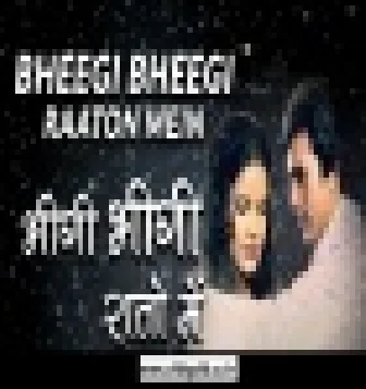 Bheegi Bheegi Raton Me Hindi Old Is Gold Dj Remix Song