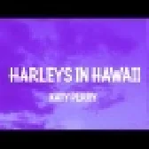 Harleys In Hawaii Slowed TikTok DJ Remix 2022
