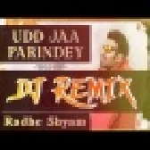 Udd Jaa Parindey Hindi Bollywood 2022 Dj Remix Song