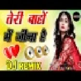 Teri Bahon Mein Jina Hai Hindi Love Sad Dj Remix Song
