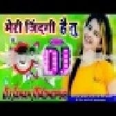 Meri Zindagi Hai Tu Hindi Love Sad Dj Remix Song