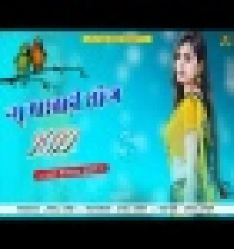 New Best Marwadi Song Dj Remix 2022 Rajasthani DJ Song Download