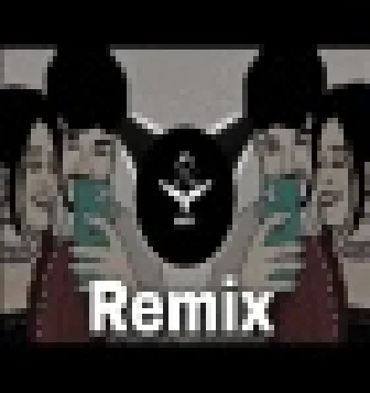 Ham To Tere Aashiq Hain New Remix Song Insta Reels Hip Hop Mix 2022(DjJpSwami.Com)