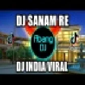 Sanam Re Trending Hindi Bollywood DJ Remix Song
