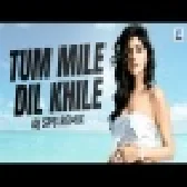 Tum Mile Dil Khile Remix Hindi Bollywood Song 2023