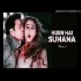 Husn Hai Suhana Best Hindi Old Is Gold Dj Remix Songs 2024
