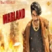 Warland Gulzaar Chhaniwala Mp3 Song Download