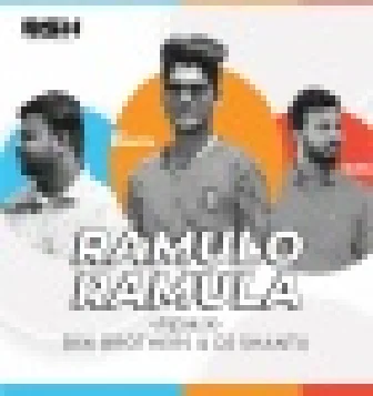 Ramulo Ramula Remix - Bsk Bro Dj Shantu